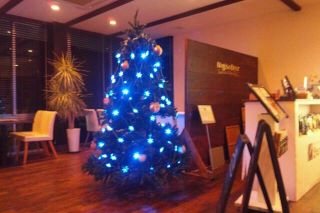 クリスマス　クリスマスツリー　南紀白浜